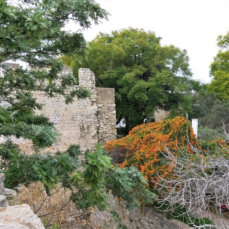 Castle Wall and Garden at Tavira - Algarve